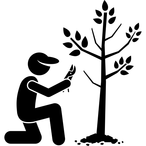 Arborist