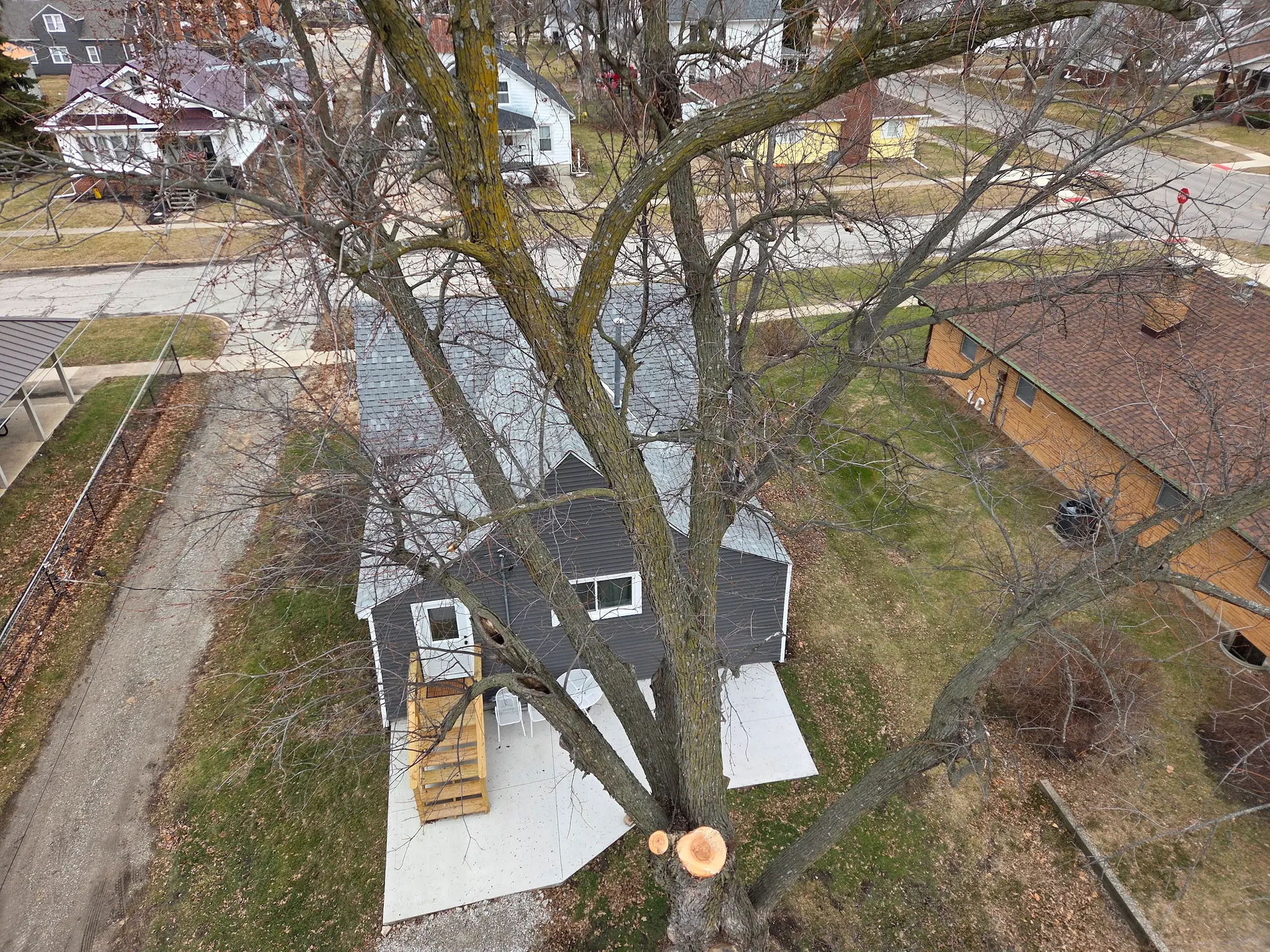 Aerial view of tree removal