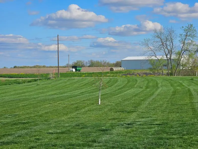 Lawn & Landscape