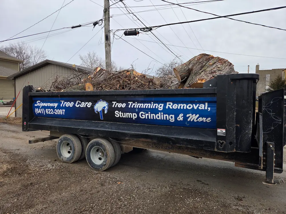 Sigourney Tree Care Dump Trailer Sigourney Tree Care Dump Trailer