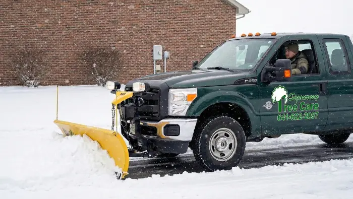Sigourney Tree Care Snow Removal Sigourney Tree Care Snow Removal