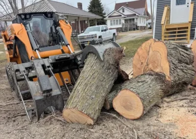 Sigourney Tree Care Skidloader moving logs