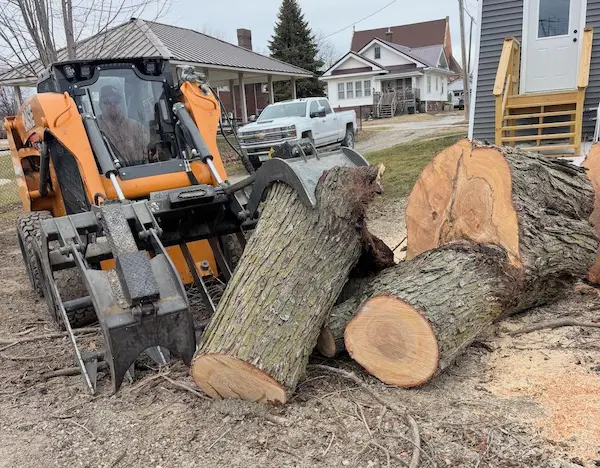 Sigourney Tree Care Skidloader moving logs Sigourney Tree Care Skidloader moving logs