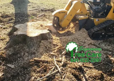 Sigourney Tree Care stump grinder - stump removal